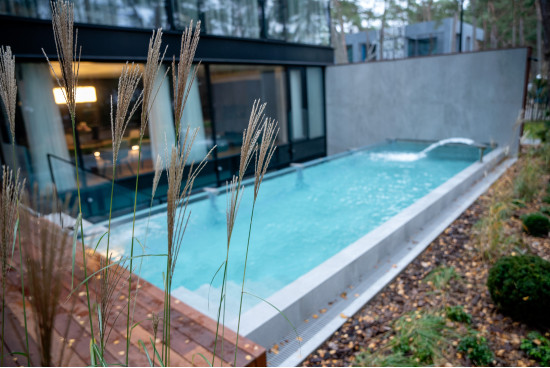 Individual project of a sauna, outdoor pool, pouring device and whirlpool - Other projects