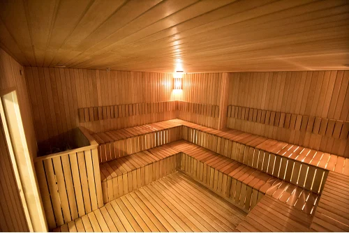 Saunas - how not to get lost in the choices of them