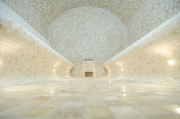 Which is better - dry or steam sauna?