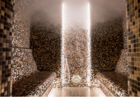 Great steam with sauna heater-steamer