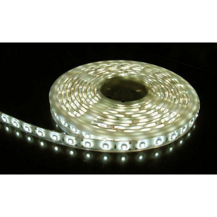 Warm white colour light 5050