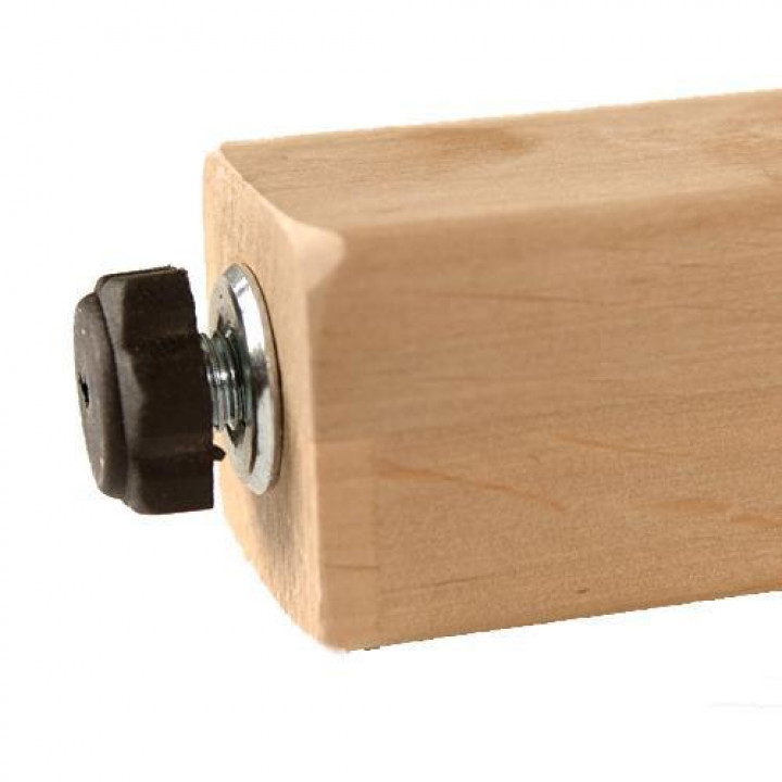 Adjustable leg for module