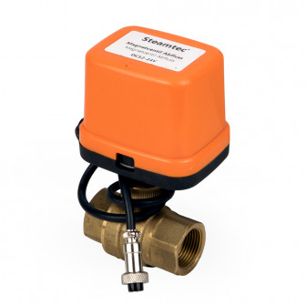 Automatic drain valve - SteamTec