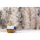 Sauna house RT-300P
