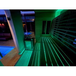 SAUFLEX RGB LED FLOODLIGHT, WITH CONTROL UNIT 