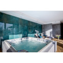 Swim Spa pool - USSPA Columba iN - 4
