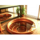 Swim Spa pool - USSPA Noel