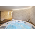 Swim Spa pool - USSPA ORION iN - 4
