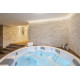 Swim Spa pool - USSPA ORION iN