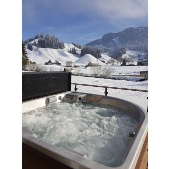 Swim Spa pool - USSPA Taurus iN