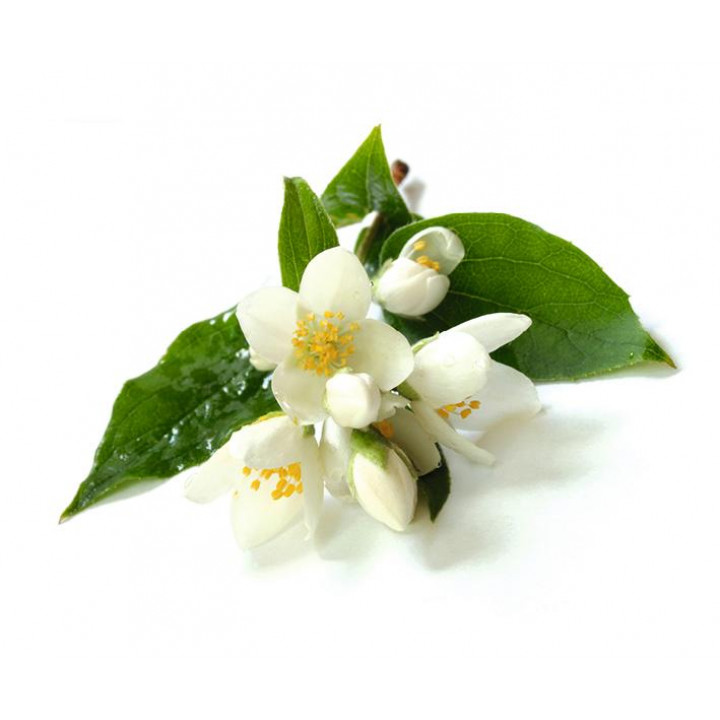 Sentiotec Sauna aroma concentrate, jasmine blossom