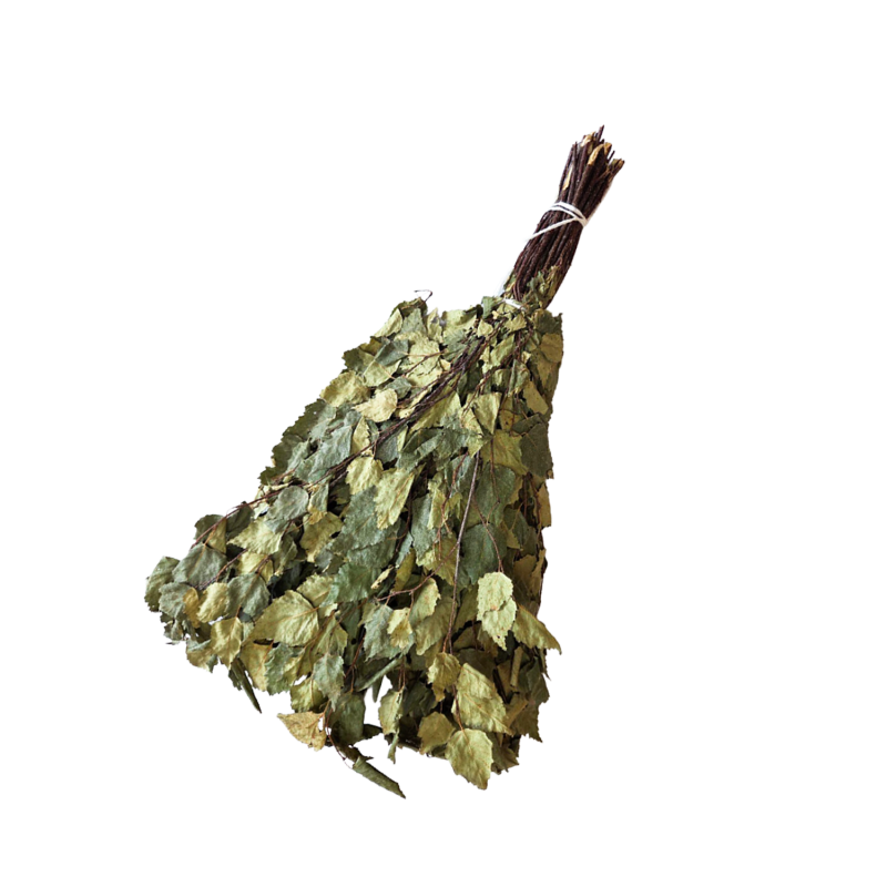 Birch sauna whisk