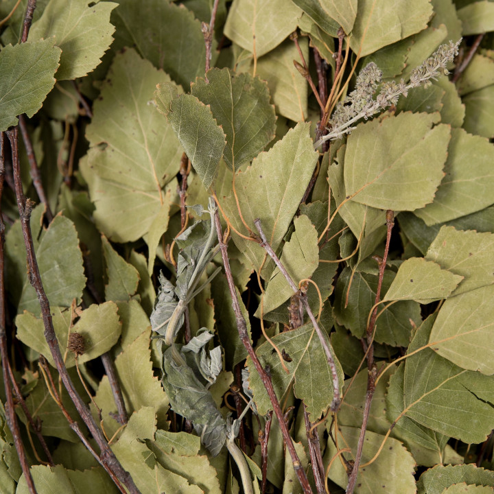 Birch whisk with herbs