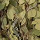 Birch whisk with herbs