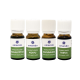 Emendo aroma set for sauna 4x10ml
