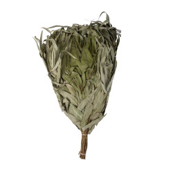 Eucalyptus sauna whisk