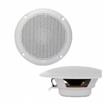 Speaker FR, 10 cm