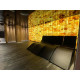 Himalayan salt bricks 200 × 100 × 25 mm