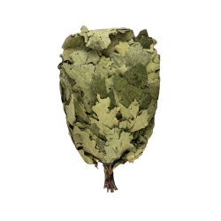Canadian oak broom 