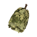 Canadian oak broom - 0