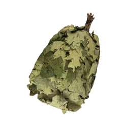 Canadian oak broom 