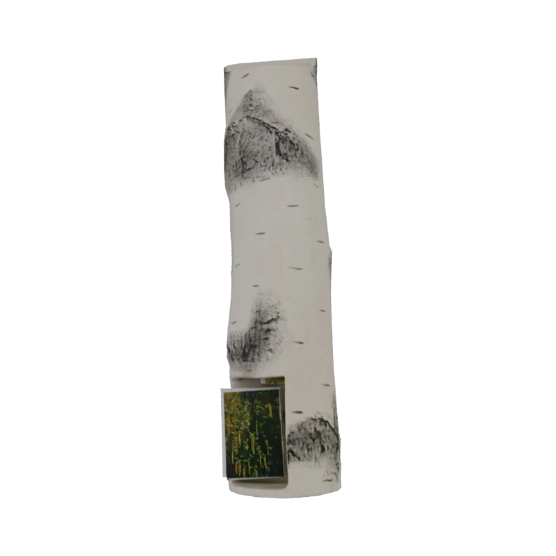 Ceramic matchbox holder - birch