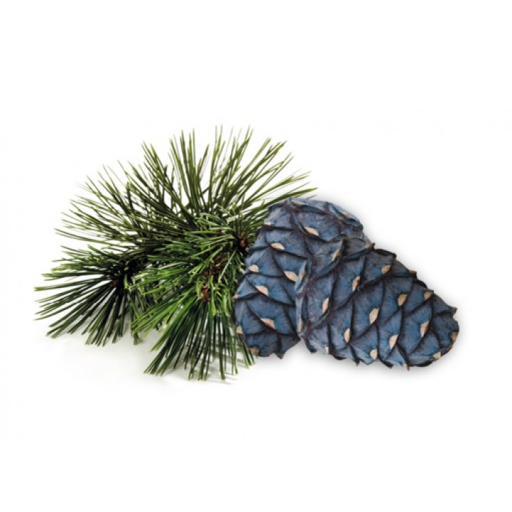 HARVIA sauna scent concentrate, arolla pine scent, 1 l