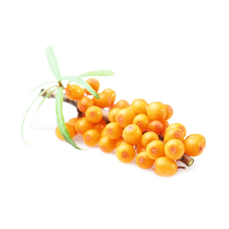 HARVIA sauna scent concentrate, sea buckthorn 1 l