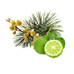 HARVIA sauna scent concentrate, arolla pine, bergamot and litsea cubeba 1 l  HARVIA sauna scent concentrate, arolla pine, bergamot and litsea cubeba 1 l