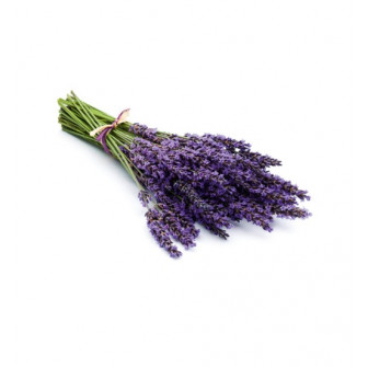 HARVIA sauna scent concentrate, lavender 1 l