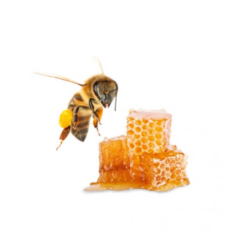 HARVIA sauna scent concentrate, honey 1 l