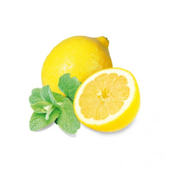 HARVIA sauna scent concentrate, mint and lemon 1 l