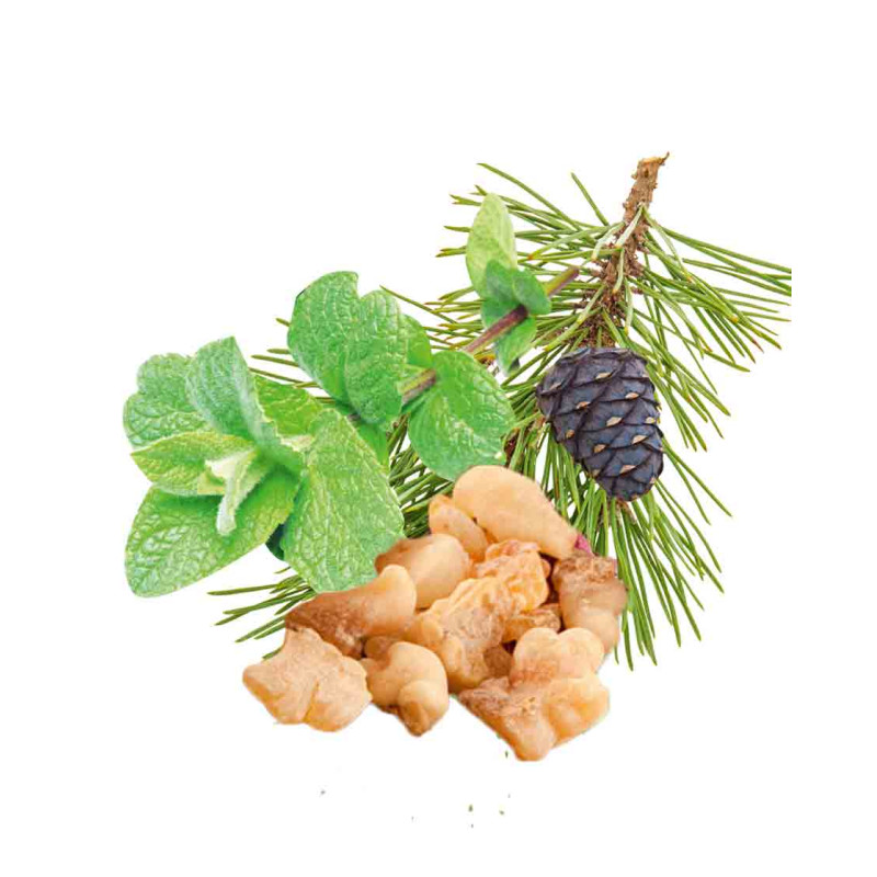 HARVIA sauna scent concentrate, peppermint, pine, frankincense and myrrh 1 l