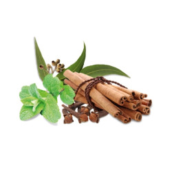 HARVIA sauna scent concentrate, spice and mint 1 l 