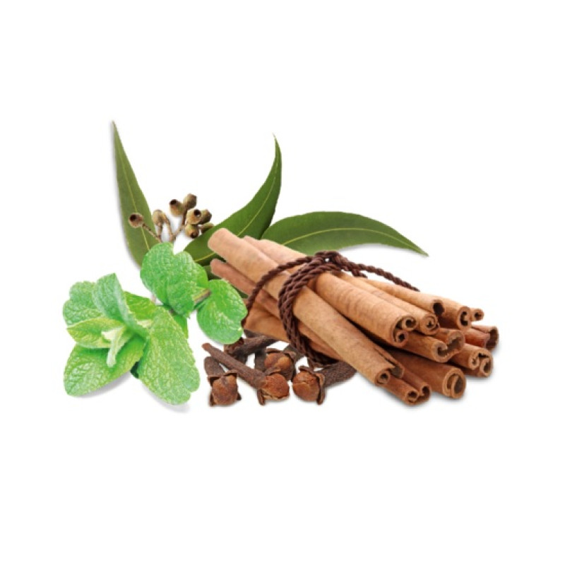 HARVIA sauna scent concentrate, spice and mint 1 l