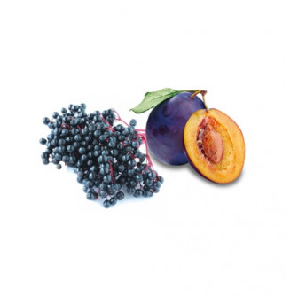 HARVIA sauna scent concentrate, elderberries and plums 1 l