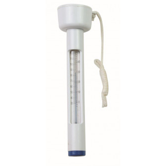 Floating thermometer with floater