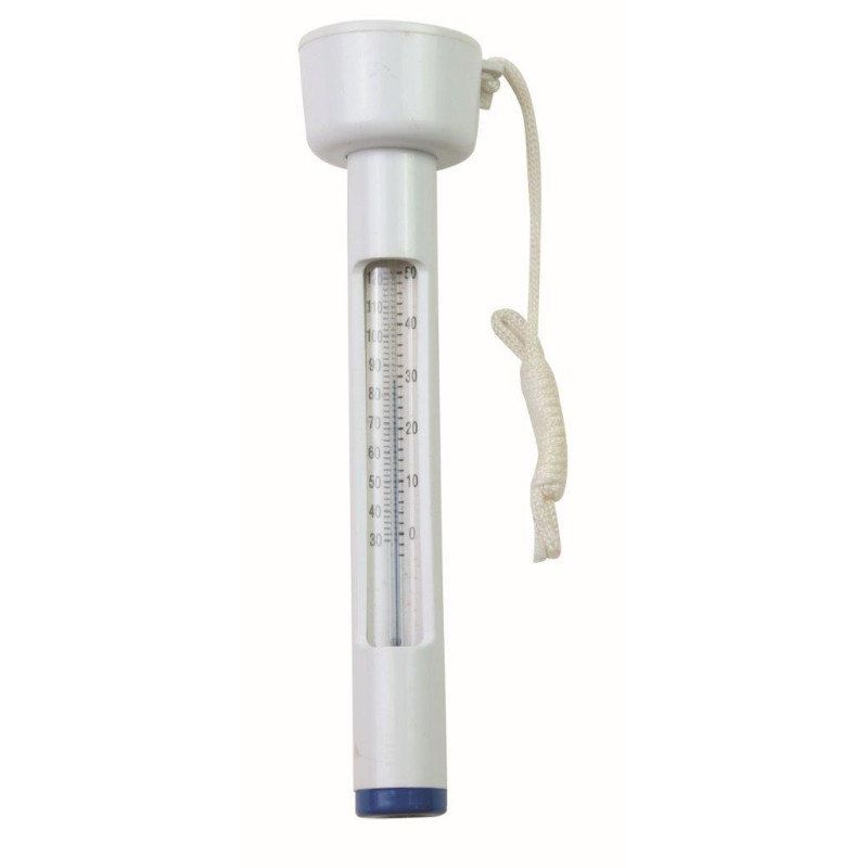 Floating thermometer with floater