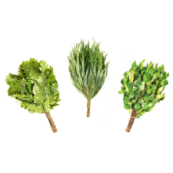 3 sauna whisk