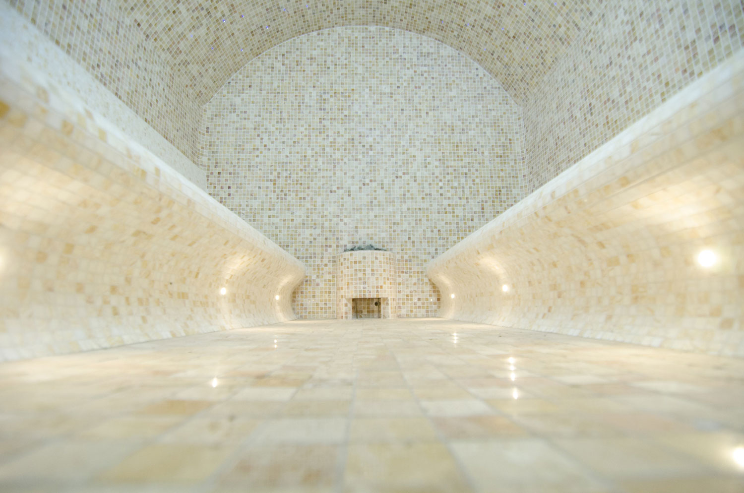 Which is better - dry or steam sauna?